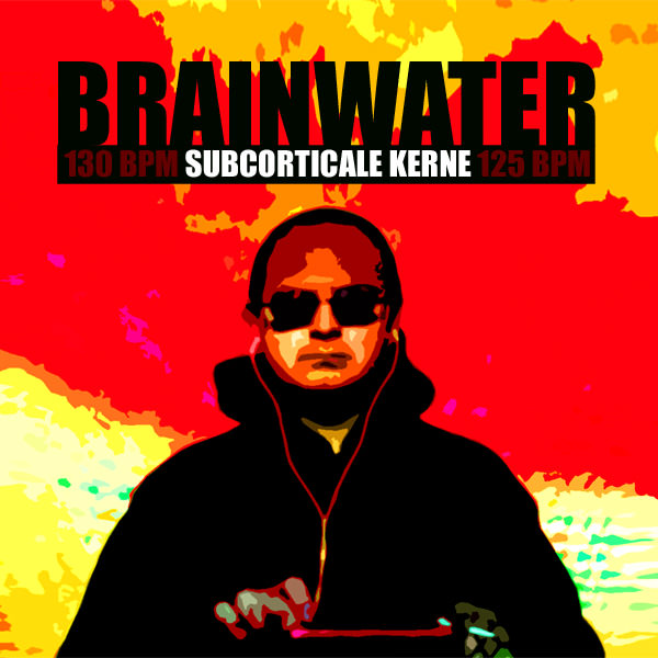 Brainwater CD